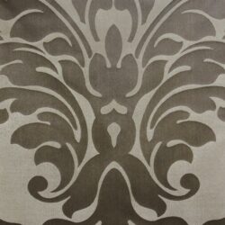 Curtain